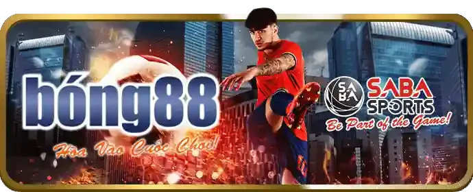 Giao diện thân thiện và dễ sử dụng của viva8 app